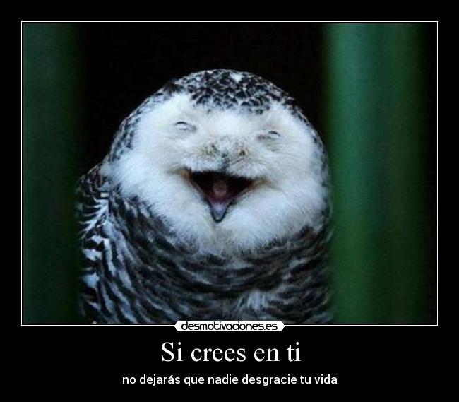 Si crees en ti - 