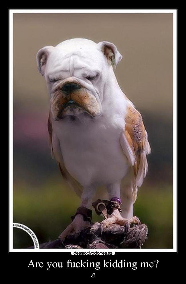 Are you fucking kidding me? - ¿?