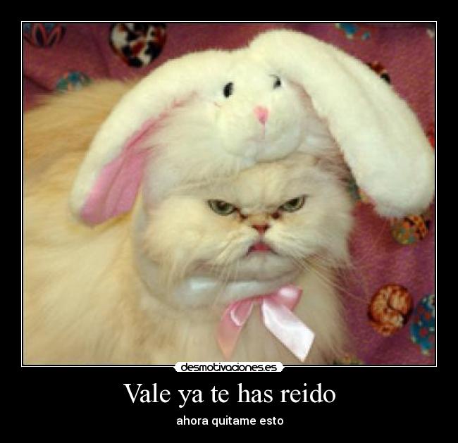 Vale ya te has reido - 