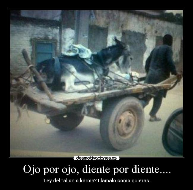 Ojo por ojo, diente por diente.... - 