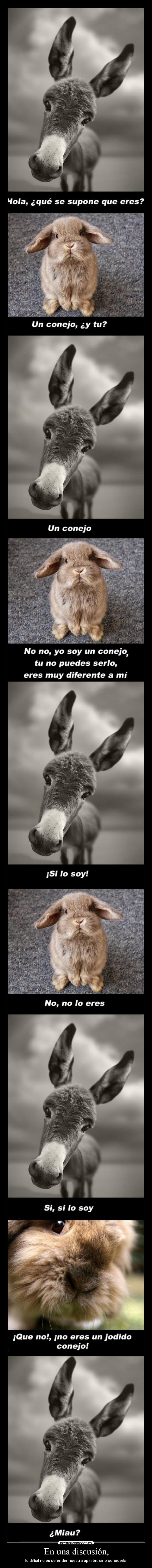 En una discusión, -