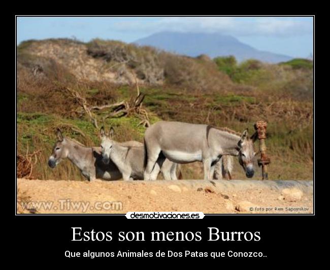 carteles estos son menos burros desmotivaciones