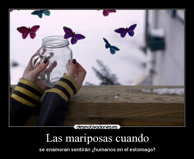 Las mariposas cuando - 
