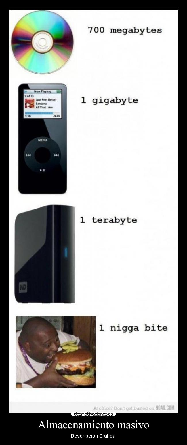 Almacenamiento masivo - Descripcion Grafica.