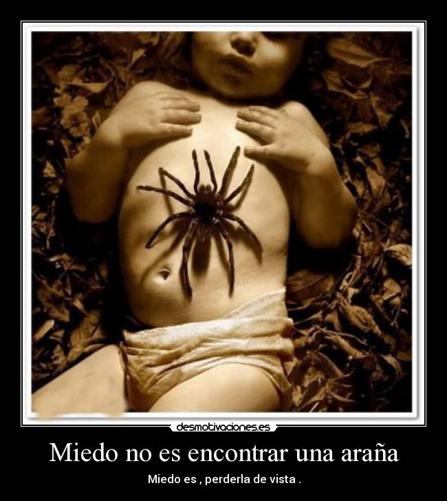 Miedo no es encontrar una araña -