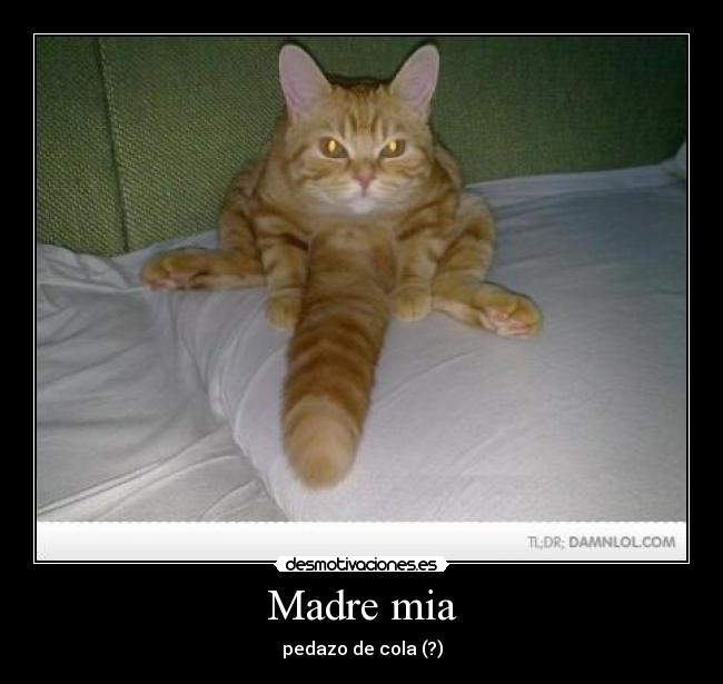 Madre mia - pedazo de cola (?)