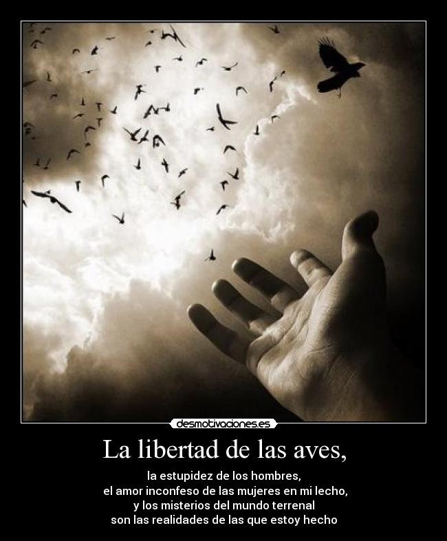 carteles libertad libertad estupidez amor misterio nart desmotivaciones