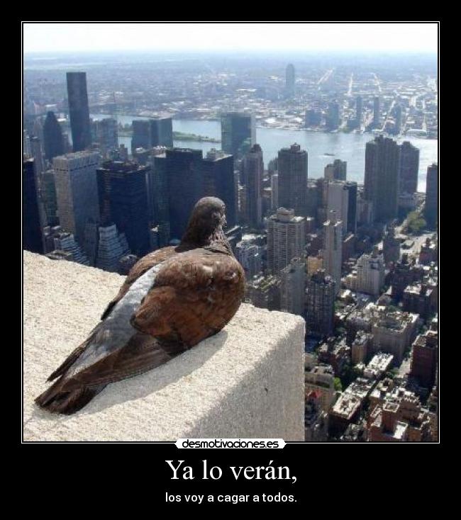 Ya lo verán, -