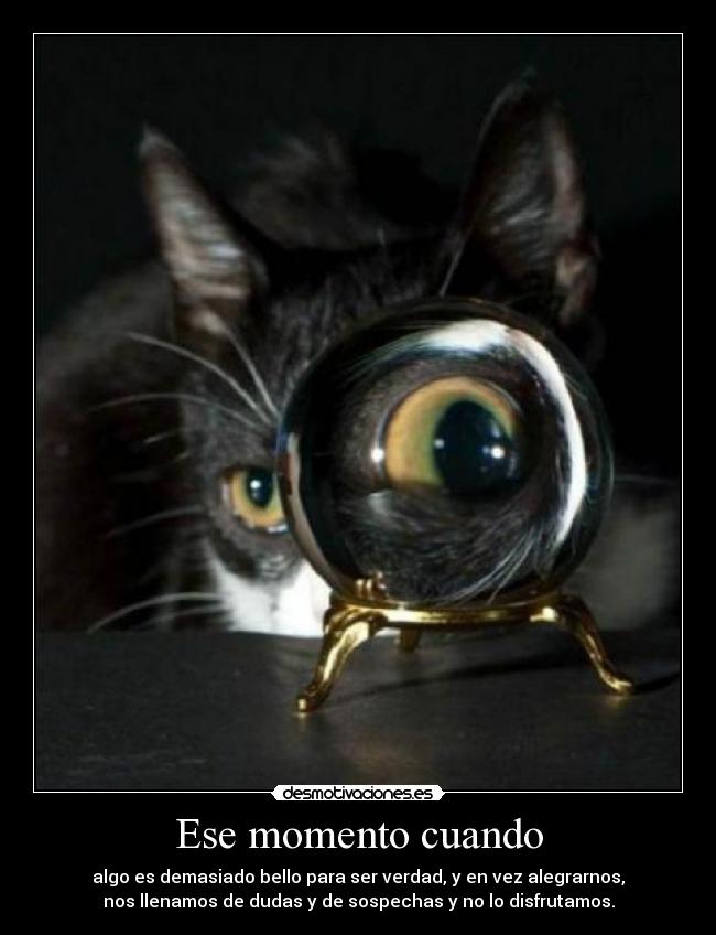 Ese momento cuando - algo es demasiado bello para ser verdad, y en vez alegrarnos,
nos llenamos de dudas y de sospechas y no lo disfrutamos.