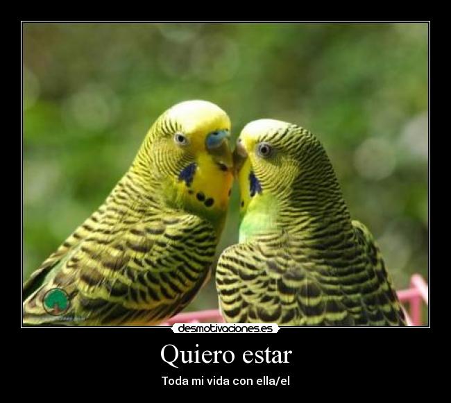 Quiero estar -
