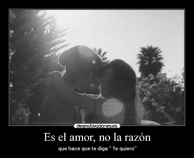 Es el amor, no la razón - que hace que te diga Te quiero