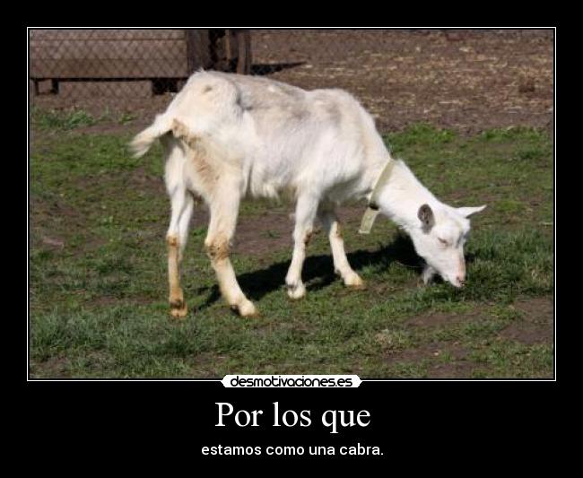 carteles desmotivaciones