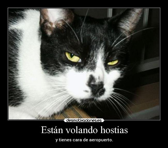 Están volando hostias - 