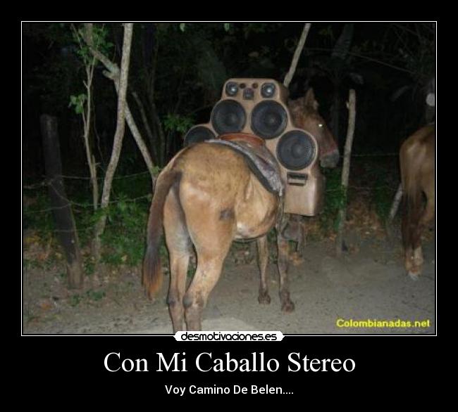 Con Mi Caballo Stereo -