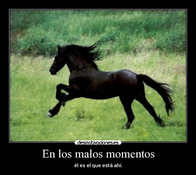 En los malos momentos -