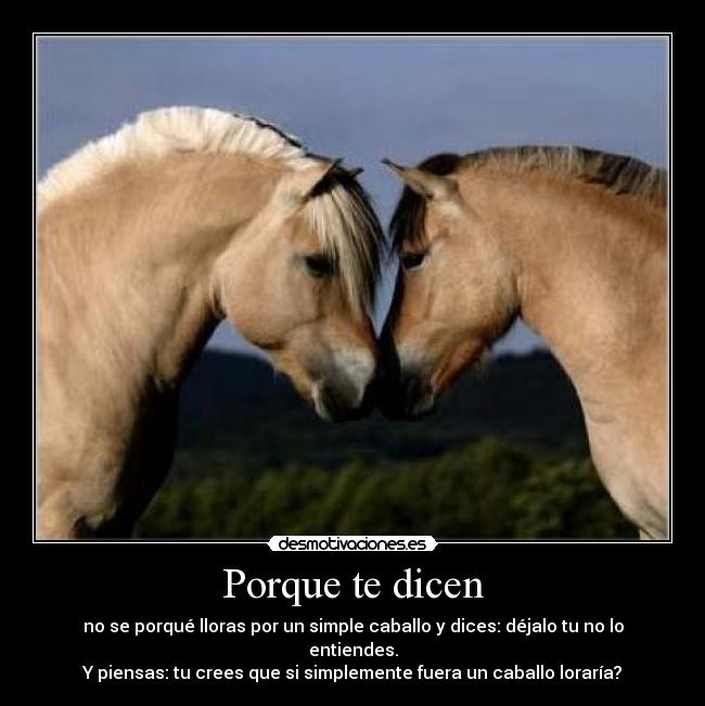 Porque te dicen - no se porqué lloras por un simple caballo y dices: déjalo tu no lo entiendes.
Y piensas: tu crees que si simplemente fuera un caballo loraría?