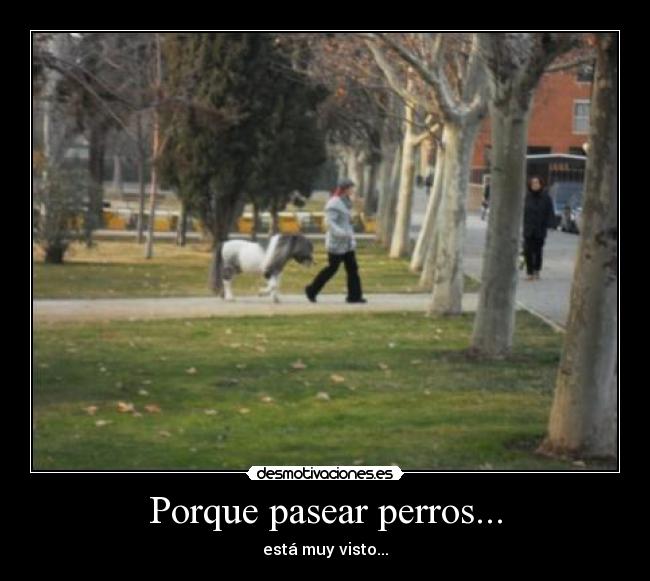 Porque pasear perros... -