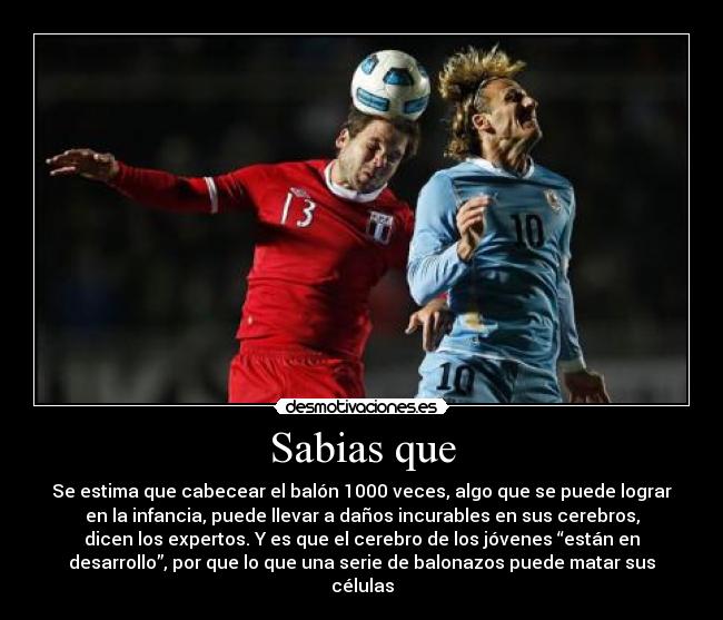 Sabias que - Se estima que cabecear el balón 1000 veces, algo que se puede lograr
en la infancia, puede llevar a daños incurables en sus cerebros,
dicen los expertos. Y es que el cerebro de los jóvenes “están en
desarrollo”, por que lo que una serie de balonazos puede matar sus
células