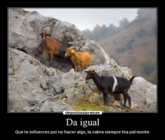 Da igual -