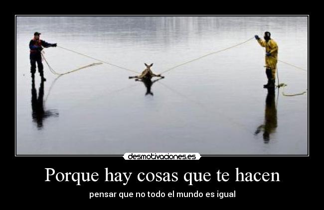 Porque hay cosas que te hacen - pensar que no todo el mundo es igual
