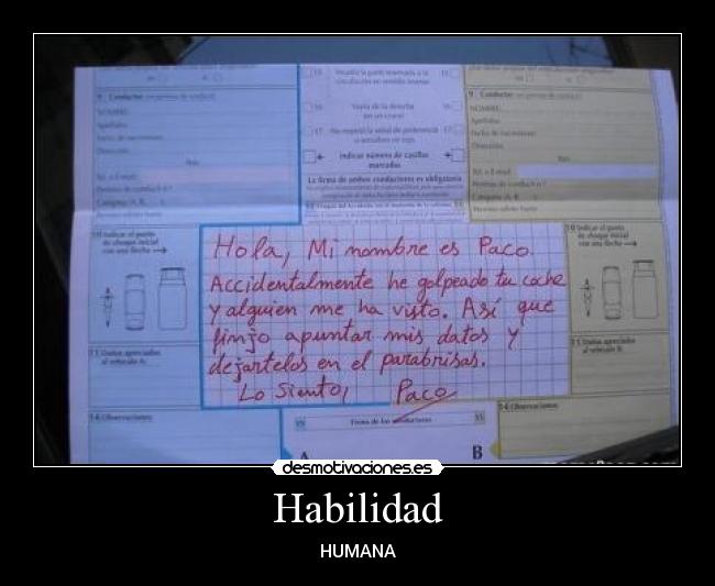 Habilidad -