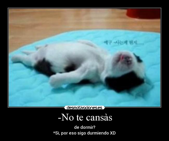 -No te cansàs - de dormir?
*Sì, por eso sigo durmiendo XD