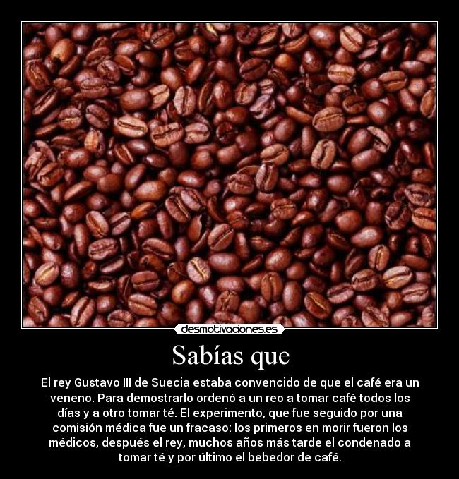 Sabías que - El rey Gustavo III de Suecia estaba convencido de que el café era un
veneno. Para demostrarlo ordenó a un reo a tomar café todos los
días y a otro tomar té. El experimento, que fue seguido por una
comisión médica fue un fracaso: los primeros en morir fueron los
médicos, después el rey, muchos años más tarde el condenado a
tomar té y por último el bebedor de café.