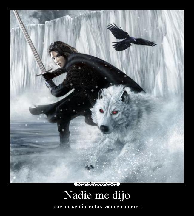 carteles decepcion amor muerte sentimiento desmotivaciones