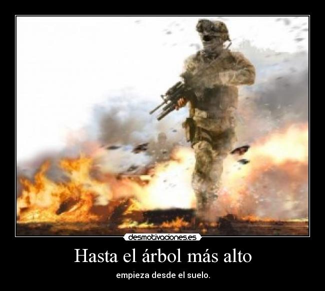 Hasta el árbol más alto - empieza desde el suelo.