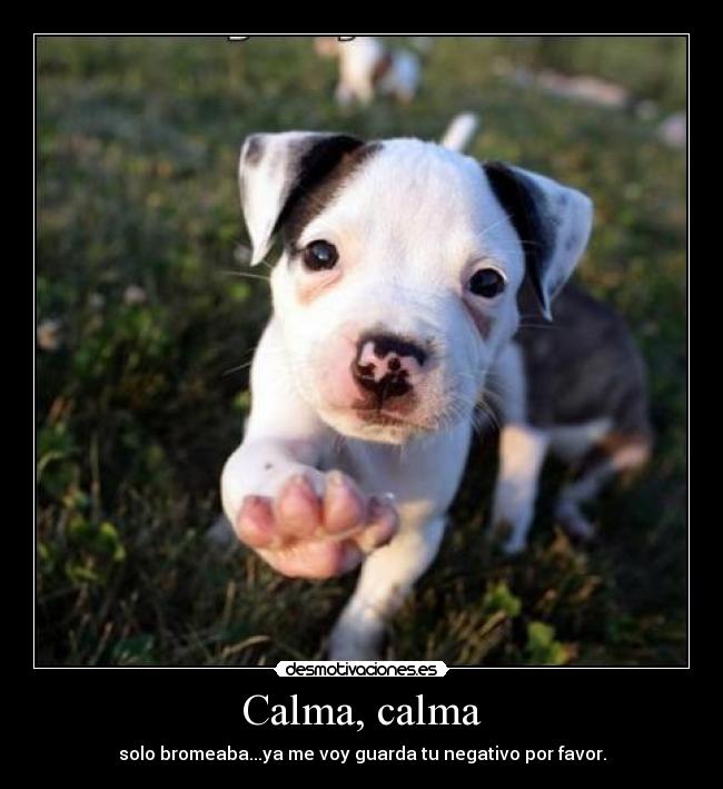 Calma, calma - 