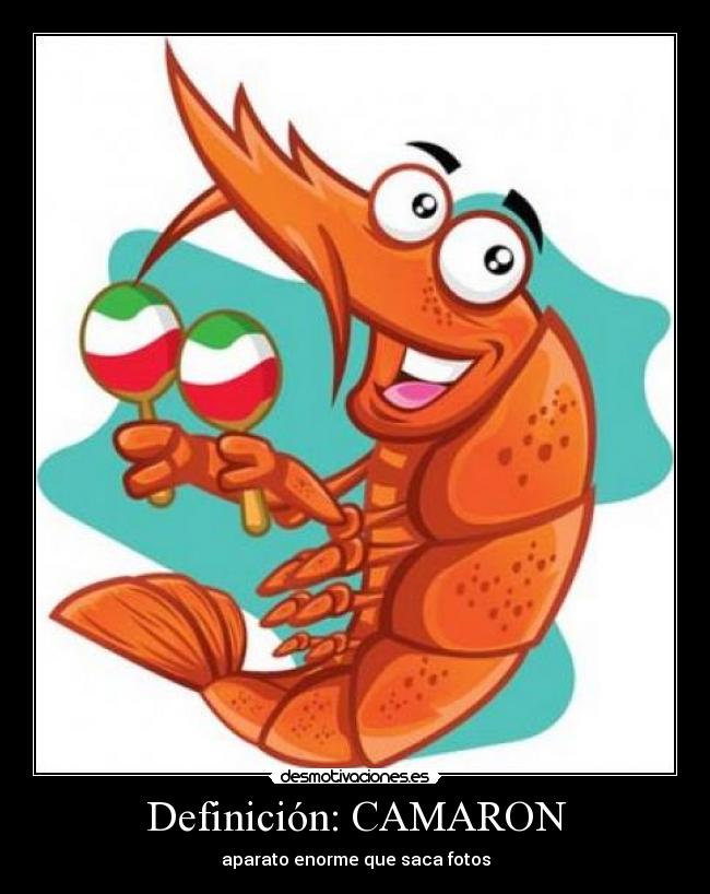 Definición: CAMARON - aparato enorme que saca fotos