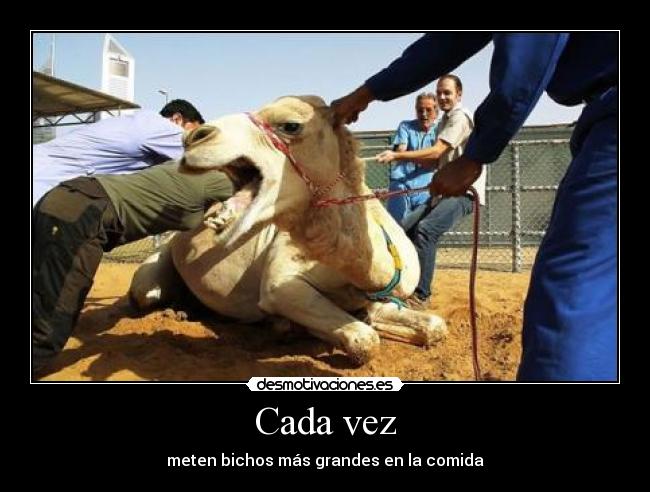 Cada vez - meten bichos más grandes en la comida