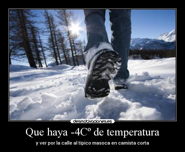 Que haya -4Cº de temperatura - y ver por la calle al típico masoca en camista corta