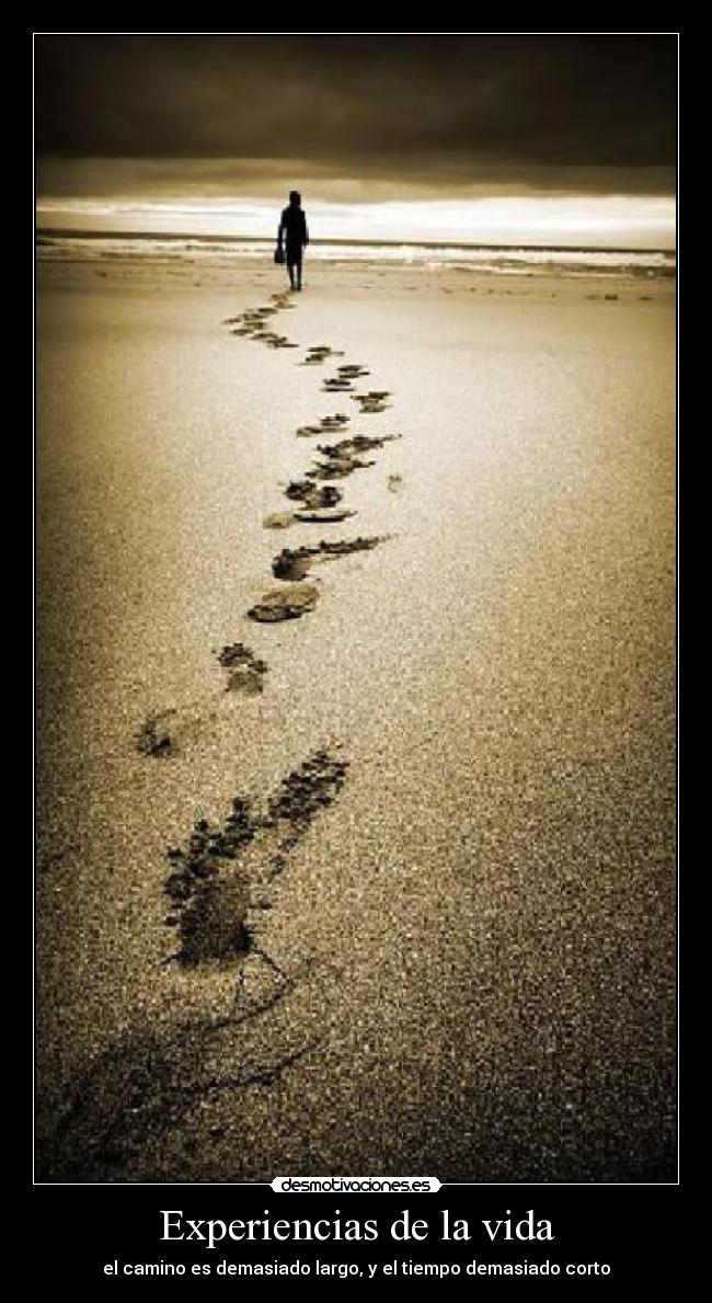 Experiencias de la vida -