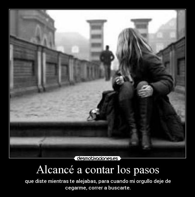 Alcancé a contar los pasos -