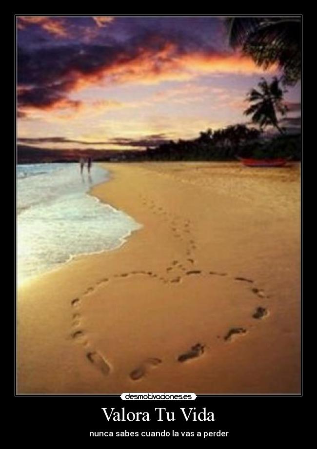 Valora Tu Vida - nunca sabes cuando la vas a perder