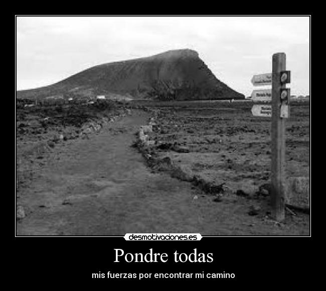 Pondre todas - 