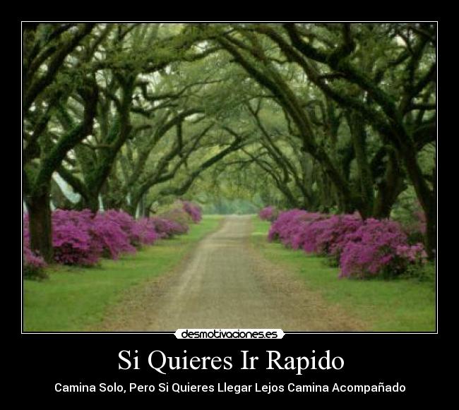 Si Quieres Ir Rapido - 