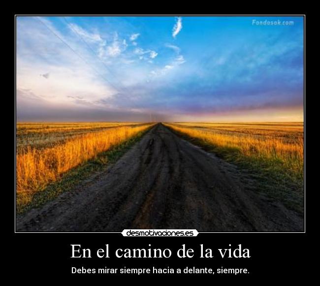 En el camino de la vida - Debes mirar siempre hacia a delante, siempre.