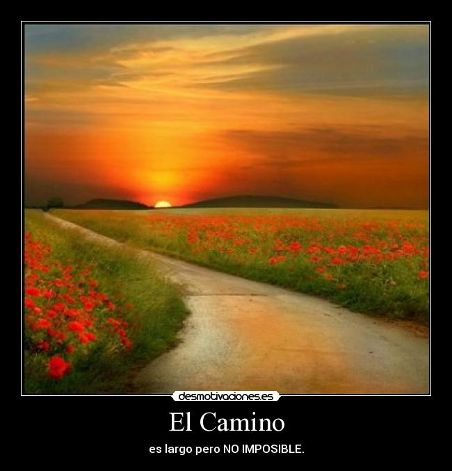 carteles camino desmotivaciones