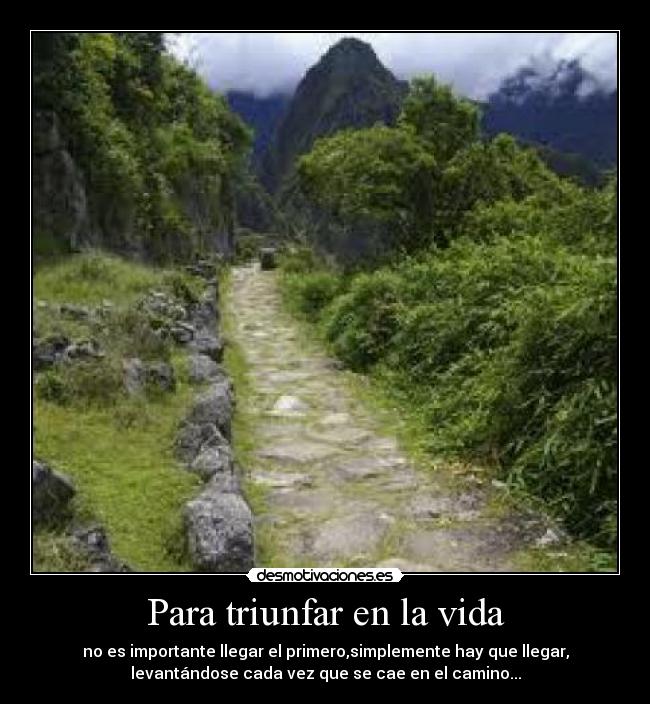 carteles vida lolavazquez desmotivaciones