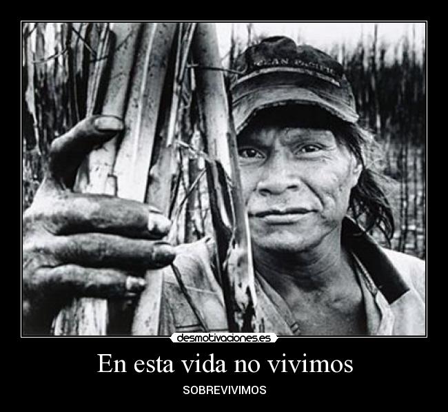 En esta vida no vivimos - 