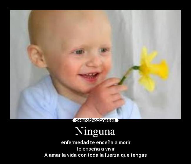 Ninguna - enfermedad te enseña a morir
te enseña a vivir
A amar la vida con toda la fuerza que tengas