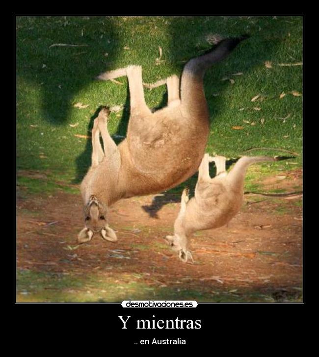 Y mientras - .. en Australia