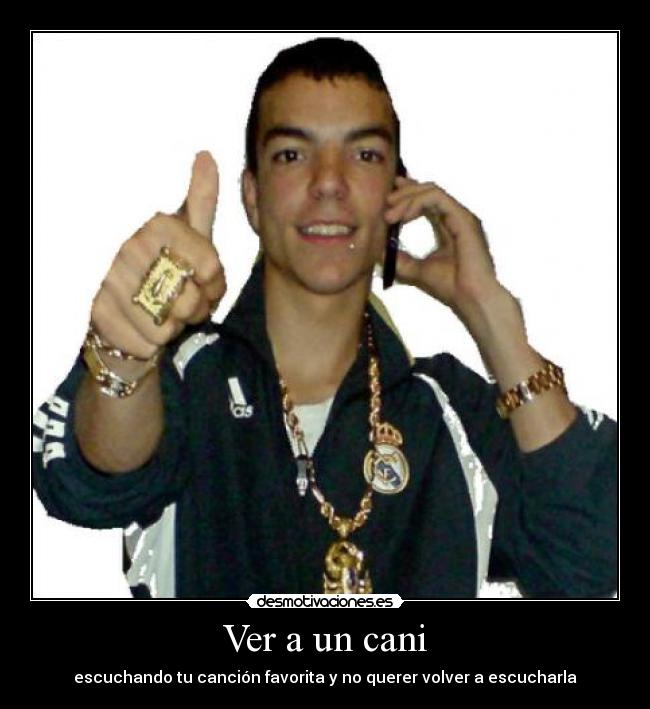 Ver a un cani - 
