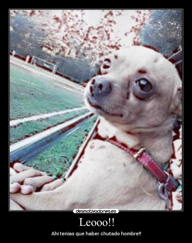 carteles nuevo entrenador desmotivaciones