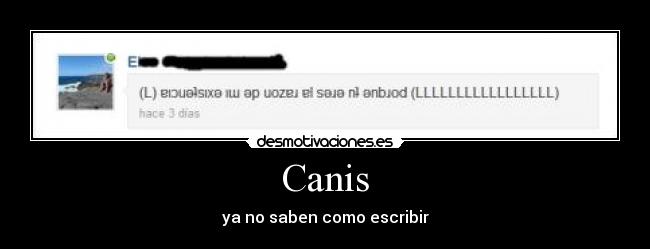 Canis - ya no saben como escribir