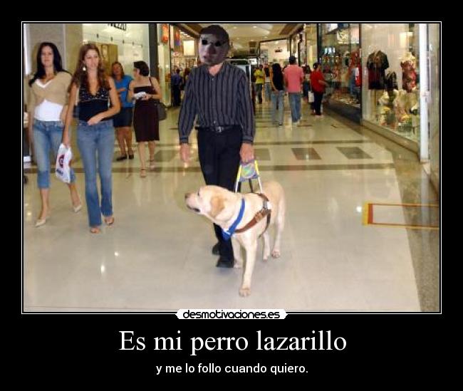 Es mi perro lazarillo - 