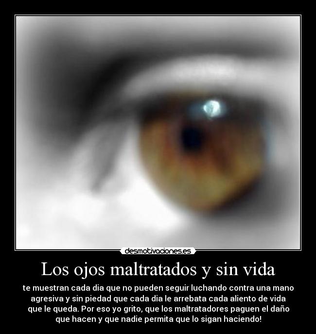 Los ojos maltratados y sin vida - te muestran cada dia que no pueden seguir luchando contra una mano
agresiva y sin piedad que cada dia le arrebata cada aliento de vida
que le queda. Por eso yo grito, que los maltratadores paguen el daño
que hacen y que nadie permita que lo sigan haciendo!