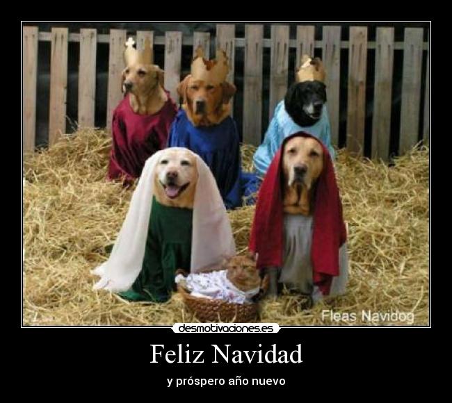 Feliz Navidad - 